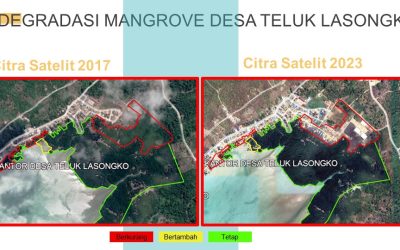 Degradasi Hutan Mangrove Desa Teluk Lasongko
